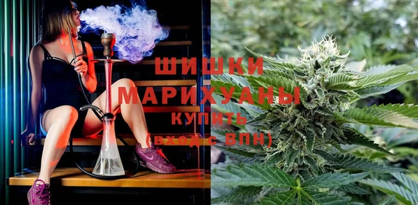 ГАЛЛЮЦИНОГЕННЫЕ ГРИБЫ Ладушкин