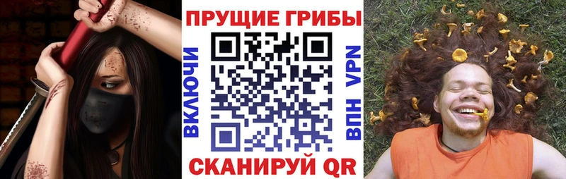 Галлюциногенные грибы ЛСД  Купить где  Наволоки 