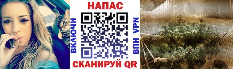 Марихуана THC 21% Наволоки