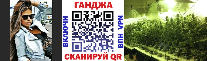 Бошки марихуана конопля  Купить закладки  Наволоки 